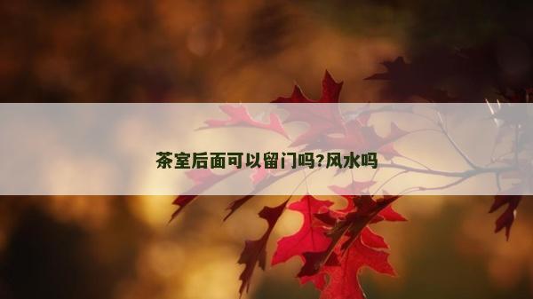 茶室后面可以留門嗎?風水嗎