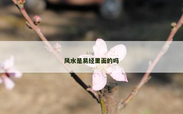 風(fēng)水是易經(jīng)里面的嗎