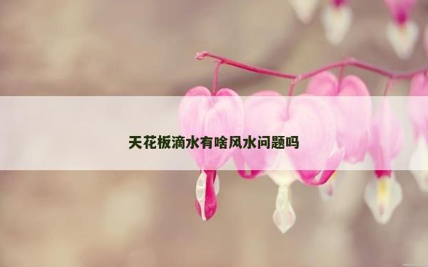 天花板滴水有啥風(fēng)水問(wèn)題嗎