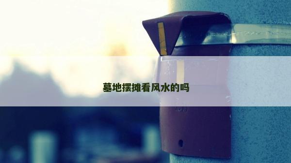 墓地擺攤看風水的嗎