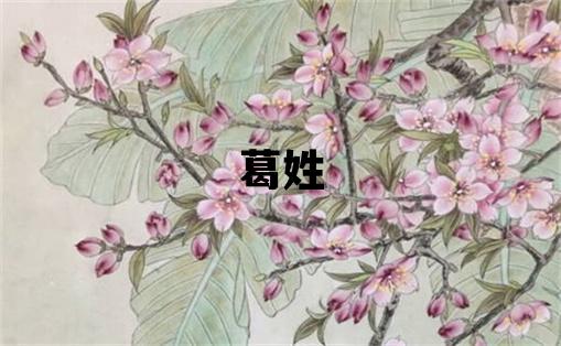葛姓獨(dú)特優(yōu)美的男寶寶名字