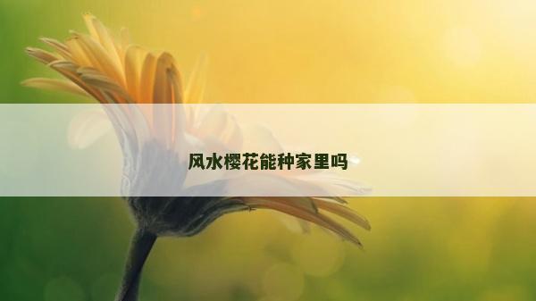 風(fēng)水櫻花能種家里嗎