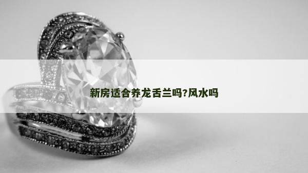 新房適合養龍舌蘭嗎?風水嗎 新房適合養龍舌蘭嗎?風水嗎