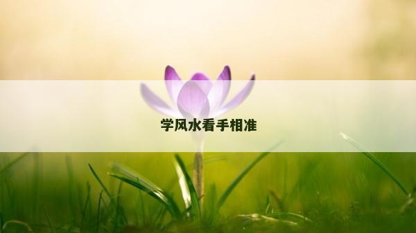 學風水看手相準 學風水看手相準