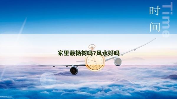 家里栽楊樹嗎?風(fēng)水好嗎 家里栽楊樹嗎?風(fēng)水好嗎