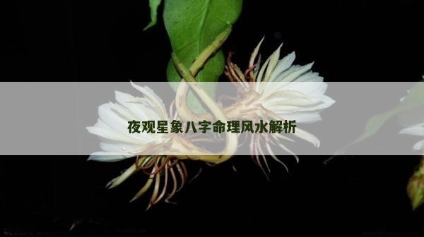 夜觀星象八字命理風水解析 夜觀星象八字命理風水解析