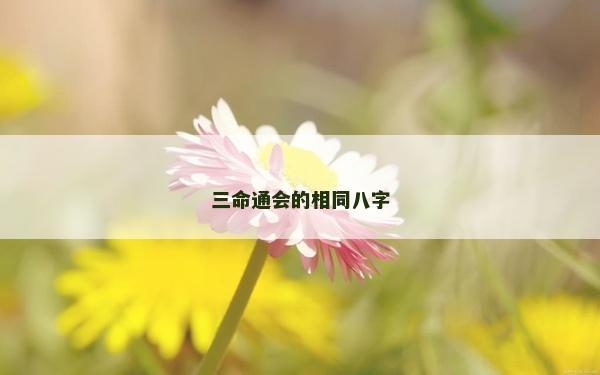 三命通會(huì)的相同八字