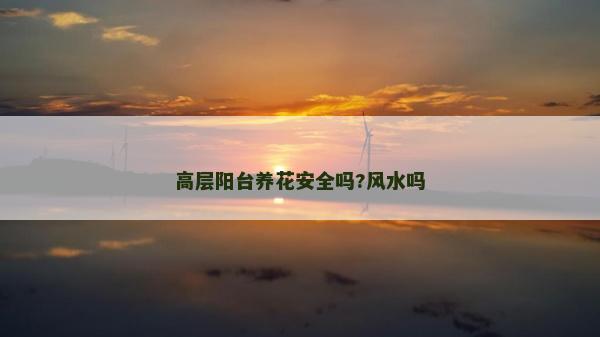 高層陽臺(tái)養(yǎng)花安全嗎?風(fēng)水嗎