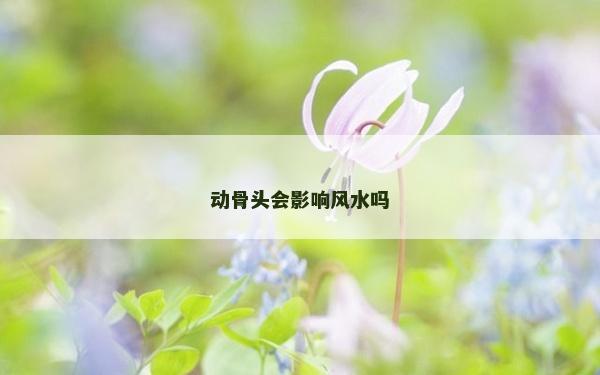 動骨頭會影響風水嗎 動骨頭會影響風水嗎