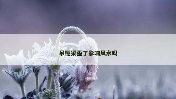 吊棚梁歪了影響風水嗎 吊棚梁歪了影響風水嗎
