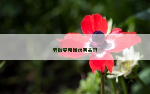 老做夢和風水有關(guān)嗎