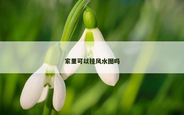 家里可以掛風水圖嗎 家里可以掛風水圖嗎