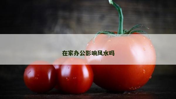 在家辦公影響風水嗎 在家辦公影響風水嗎