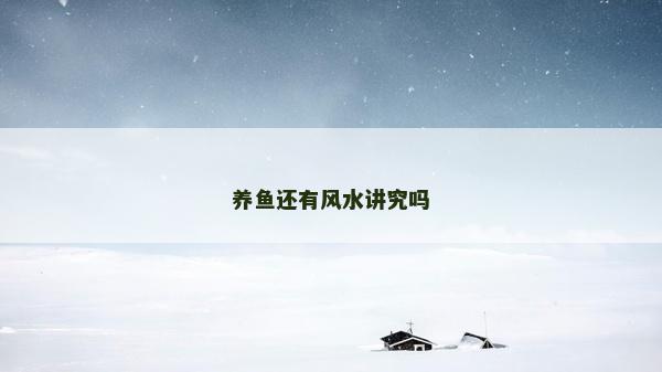 養(yǎng)魚還有風(fēng)水講究嗎