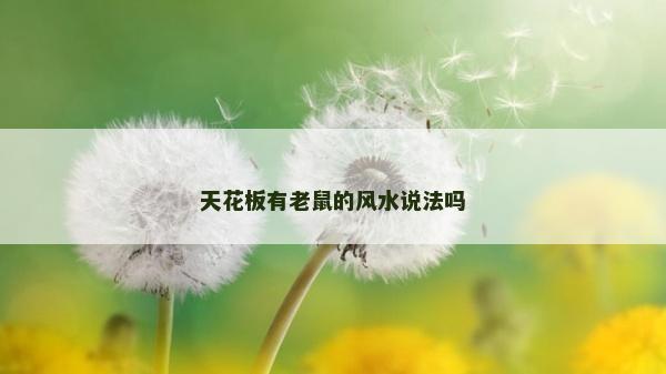 天花板有老鼠的風水說法嗎