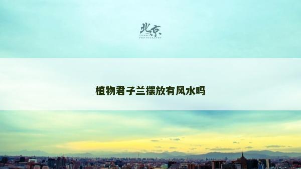 植物君子蘭擺放有風(fēng)水嗎
