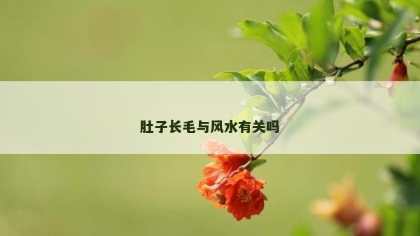肚子長毛與風水有關嗎