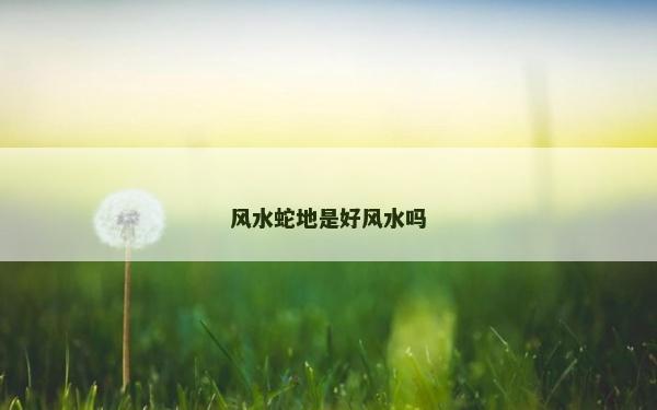 風水蛇地是好風水嗎