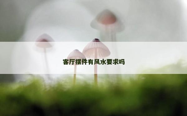 客廳擺件有風(fēng)水要求嗎