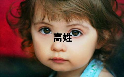 高姓有涵養(yǎng)的男孩名字,取什么名字好