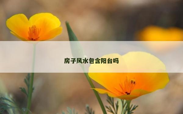 房子風水包含陽臺嗎