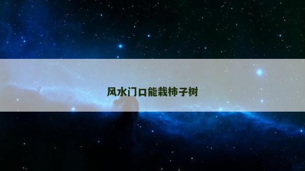 風水門口能栽柿子樹 風水門口能栽柿子樹