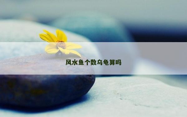 風水魚個數烏龜算嗎