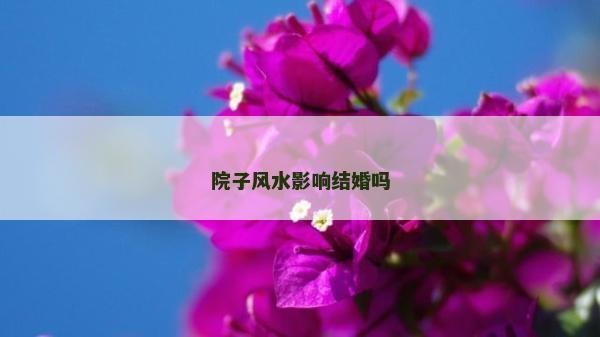 院子風水影響結婚嗎