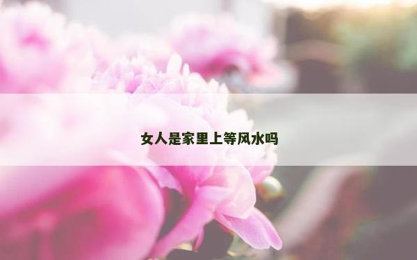 女人是家里上等風水嗎