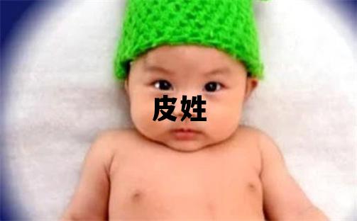 皮姓大氣文雅的男寶寶名字