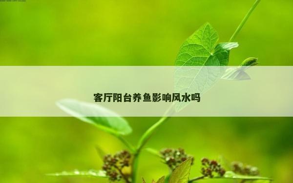 客廳陽臺養魚影響風水嗎 客廳陽臺養魚影響風水嗎