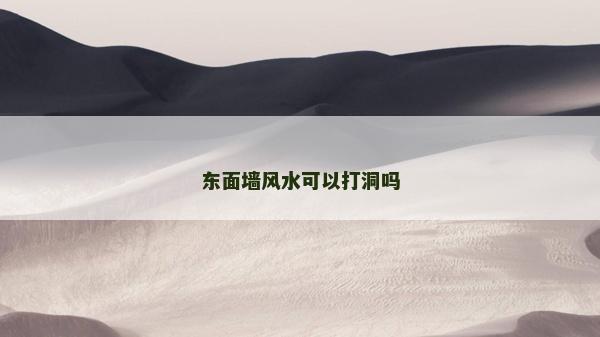 東面墻風水可以打洞嗎