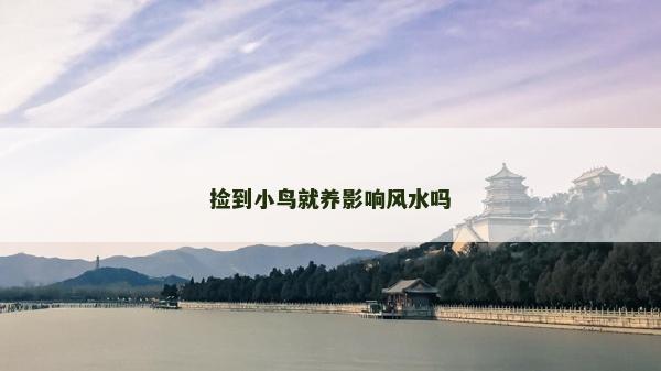 撿到小鳥就養影響風水嗎