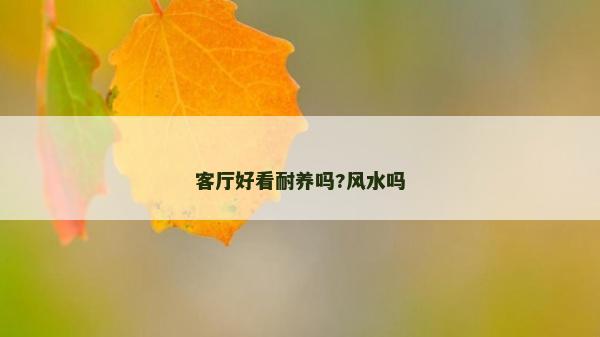 客廳好看耐養嗎?風水嗎
