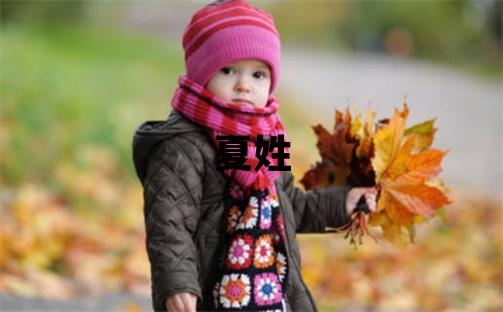 夏姓取名吉利的男寶寶名字