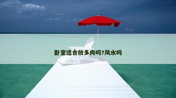 臥室適合放多肉嗎?風水嗎