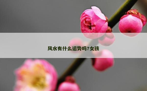 風水有什么運勢嗎?女孩