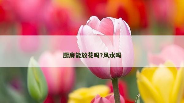廚房能放花嗎?風水嗎