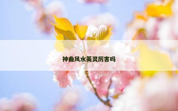 神曲風(fēng)水英靈厲害嗎