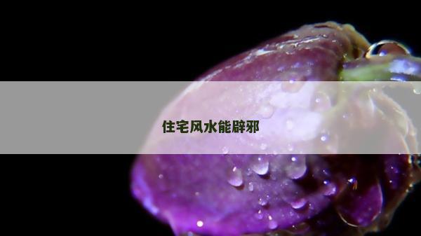 住宅風(fēng)水能辟邪 住宅風(fēng)水能辟邪
