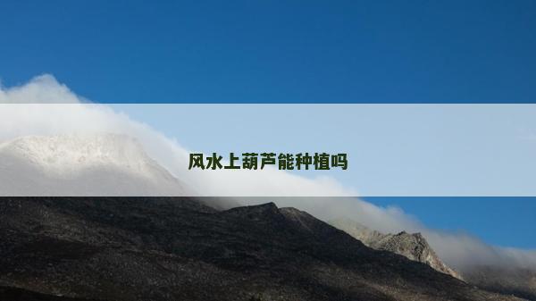 風水上葫蘆能種植嗎 風水上葫蘆能種植嗎