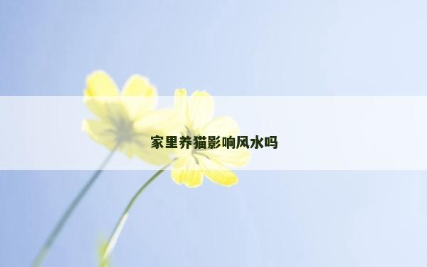 家里養貓影響風水嗎 家里養貓影響風水嗎