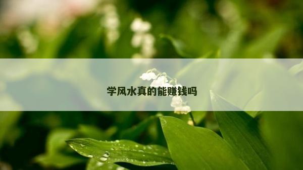學風水真的能賺錢嗎