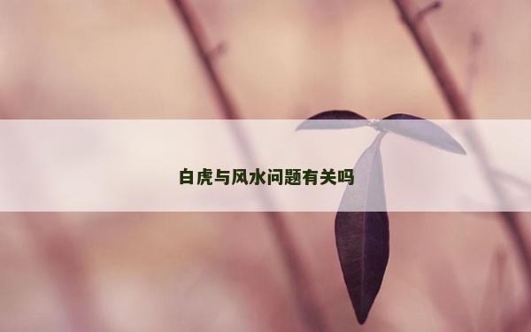 白虎與風水問題有關嗎