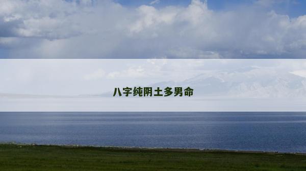 八字純陰土多男命