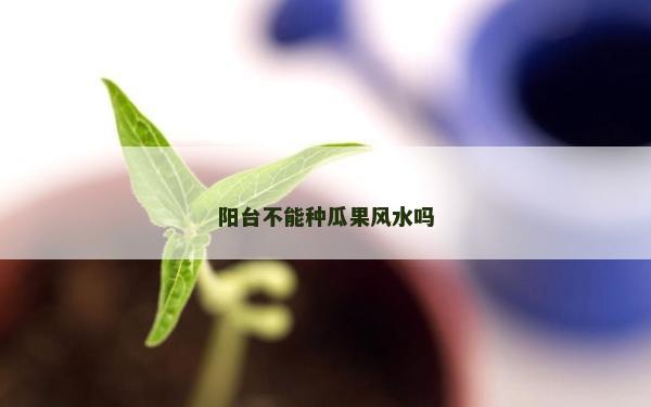 陽臺不能種瓜果風水嗎