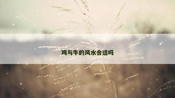 雞與牛的風(fēng)水合適嗎