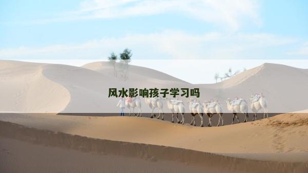 風(fēng)水影響孩子學(xué)習(xí)嗎