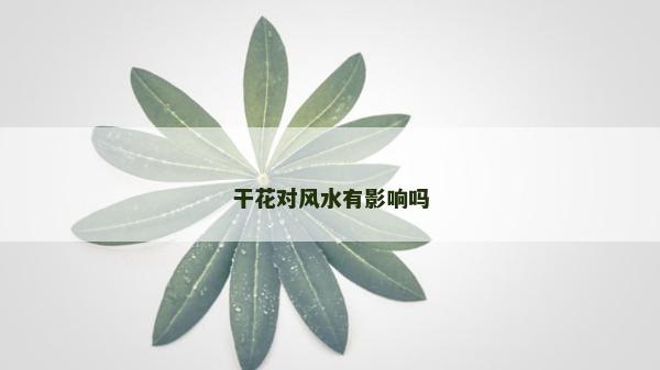 干花對風(fēng)水有影響嗎