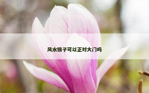 風水鏡子可以正對大門嗎